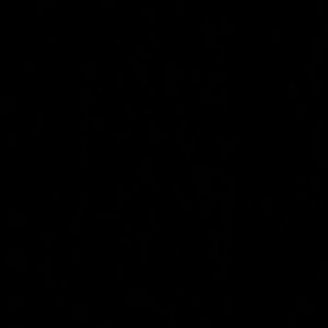 Meet your Posher, Nayeli